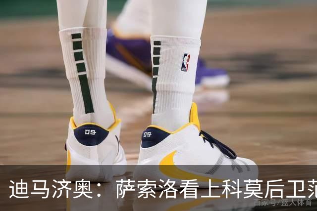 迪马济奥：萨索洛看上科莫后卫范德布雷普特，已报价600万欧求购